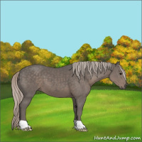 Horse Color:Silver Black 