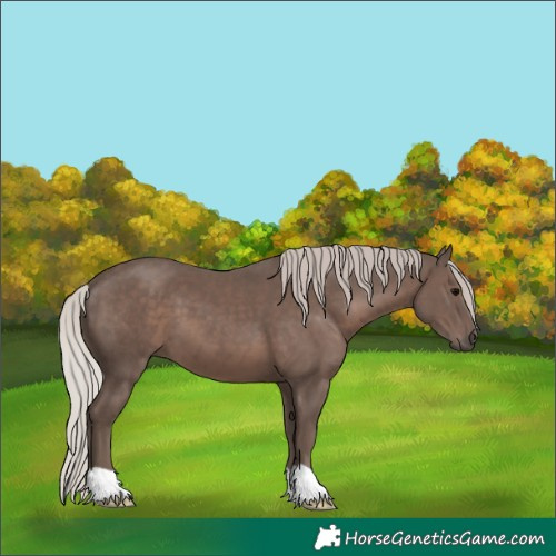 Horse Color:Silver Black 