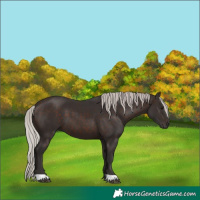Horse Color:Silver Brown 