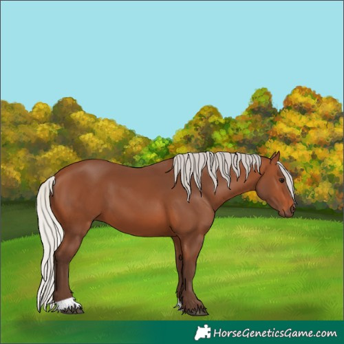 Horse Color:Silver Brown