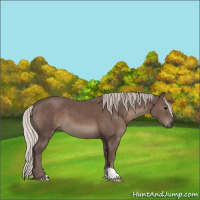 Horse Color:Silver Black 