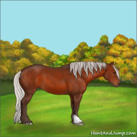 Horse Color:Silver Brown