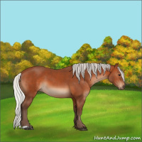 Horse Color:Silver Brown 