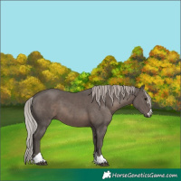 Horse Color:Silver Black 