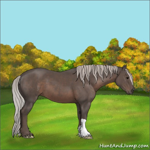 Horse Color:Silver Black