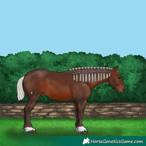 Horse Color:Silver Brown 