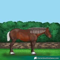 Horse Color:Silver Brown 