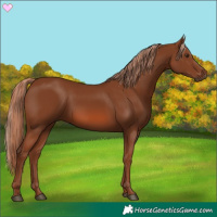 Horse Color:Chestnut 