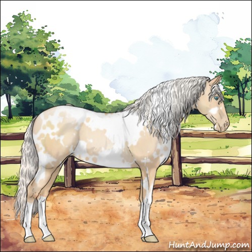 Horse Color:White Spotted Silver Classic Champagne Pearl