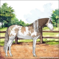 Horse Color:White Spotted Black Pearl Splash