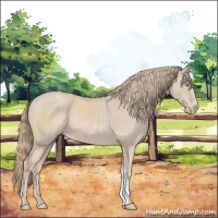Horse Color:Smoky Creme 