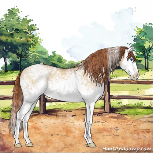 Horse Color:White Spotted Buckskin Pearl Dun Sabino Splash 