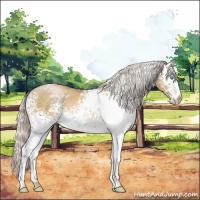 Horse Color:White Spotted Silver Smoky Black Pearl 