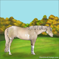 Horse Color:White Spotted Chocolate Palomino Pearl Tobiano 