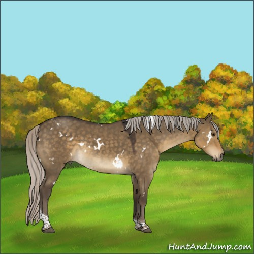 Horse Color:White Spotted Silver Smoky Grullo Tobiano 