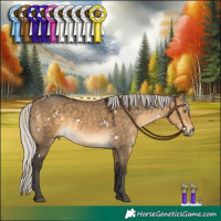 Horse Color:White Spotted Silver Buckskin Dun 