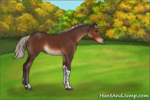 Horse Color:Silver Brown Tobiano 