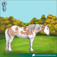 Horse Color:White Spotted Silver Bay Splash