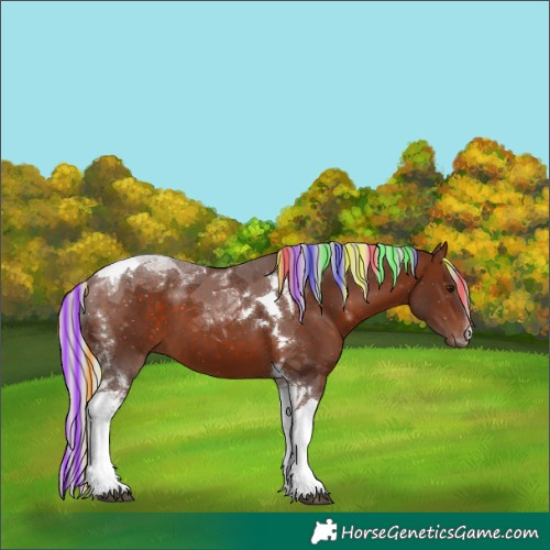 Horse Color:Painted Silver Bay Tobiano 