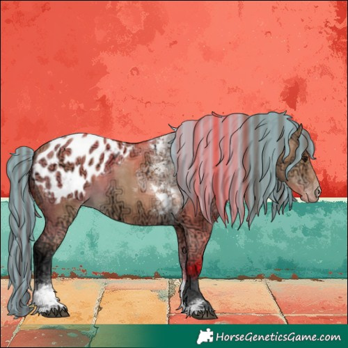 Horse Color:Painted Bay Ice Dun Tobiano Appaloosa 