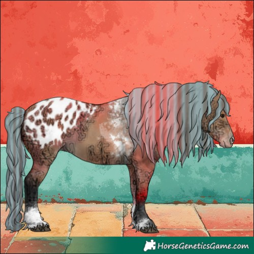 Horse Color:Painted Bay Ice Dun Tobiano Appaloosa 