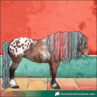 Horse Color:Painted Bay Ice Dun Tobiano Appaloosa 