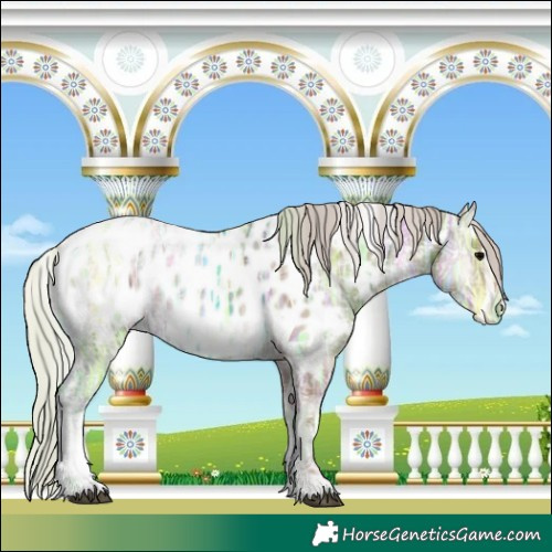 Horse Color:Plaid  Silver Blue Onyx Ice Tobiano Appaloosa 