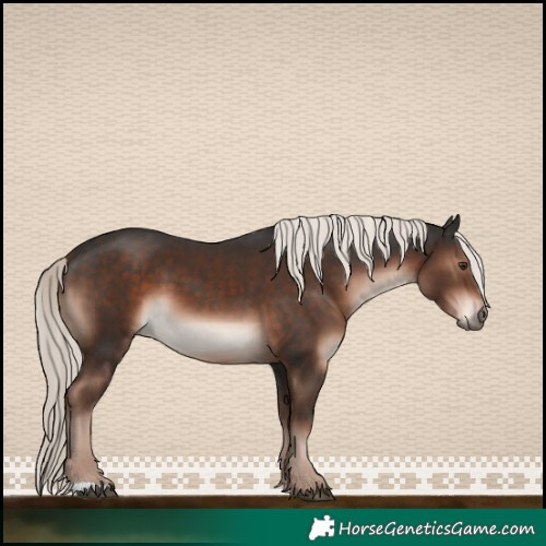 Horse Color:Liver Chestnut Mushroom 