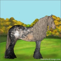 Horse Color:Void Chocolate Palomino Ice Tobiano 