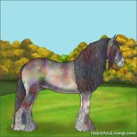 Horse Color:Nacre Smoky Blue Onyx Tobiano