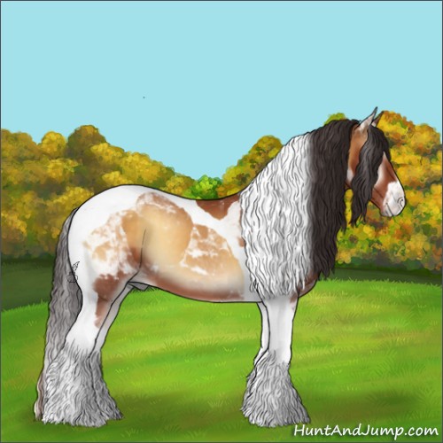 Horse Color:Buckskin Onyx Tobiano 