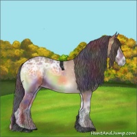 Horse Color:Void Nacre Buckskin Ice Onyx Tobiano 