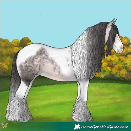 Horse Color:Platinum Buckskin Splash Tobiano
