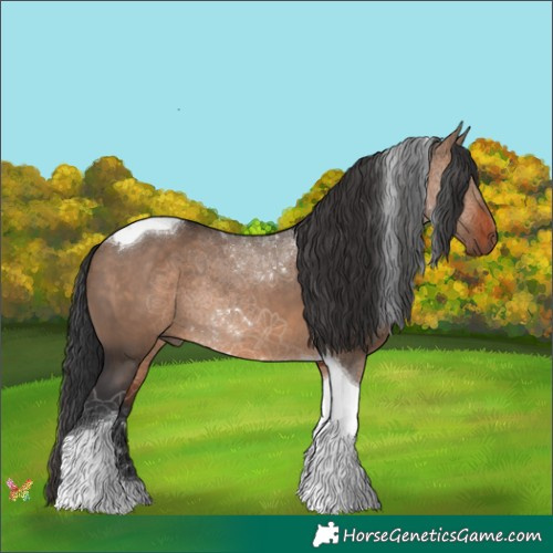 Horse Color:Brown Dun Tobiano 