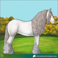 Horse Color:Platinum Buckskin Pearl Tobiano
