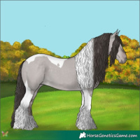 Horse Color:Platinum Liver Red Dun Tobiano 
