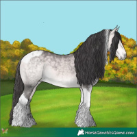 Horse Color:Platinum Buckskin Tobiano 