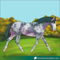 Horse Color:Watercolor Brown Ice 