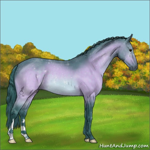 Horse Color:Watercolor Bay 