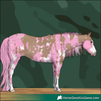 Horse Color:Classic Champagne  and Watercolor White Spotted Black 