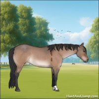 Horse Color:Brown Roan Dun Rabicano 