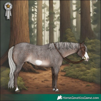 Horse Color:Silver Brown Roan Frame Rabicano