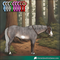 Horse Color:Silver Brown Roan Frame Rabicano 