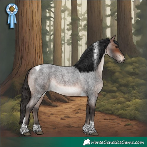 Horse Color:Brown Roan Tobiano Frame Rabicano 
