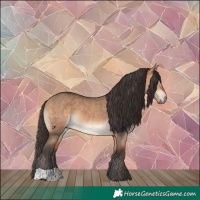 Horse Color:Bay Dun