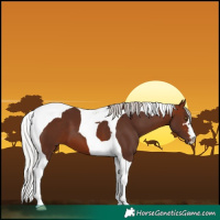 Horse Color:Silver Brown Tobiano 