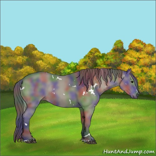 Horse Color:Nacre White Spotted Smoky Black Sabino 