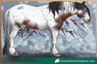Horse Color:Brown Tobiano Frame 