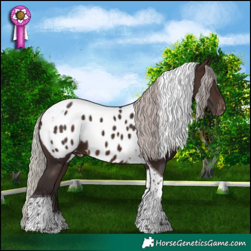 Horse Color:Silver Brown Tobiano Blanket 