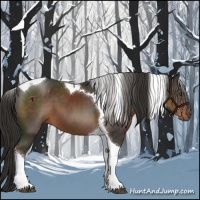 Horse Color:Liver Chestnut Tobiano 